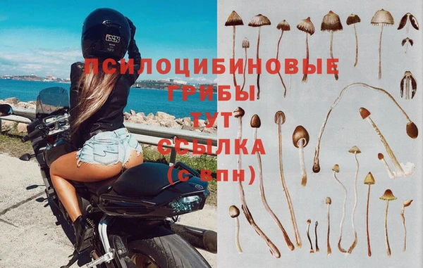 мефедрон Дмитриев