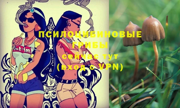 мефедрон Дмитриев