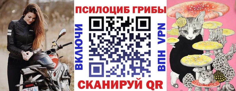 Купить где  Кемь  Псилоцибиновые грибы мицелий 